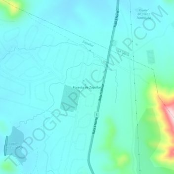 Foresta de Zapallar topographic map, elevation, terrain
