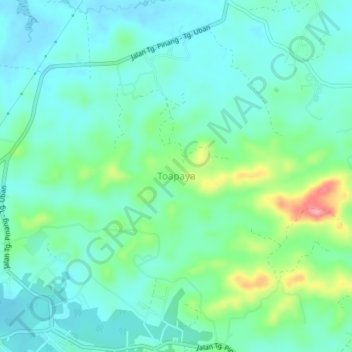Toapaya topographic map, elevation, terrain