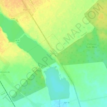 Ilfoveni topographic map, elevation, terrain