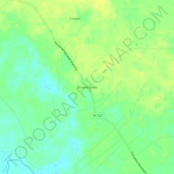 Bloomingvale topographic map, elevation, terrain