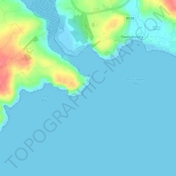 Downeen Point topographic map, elevation, terrain