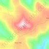 Morro Alto topographic map, elevation, terrain