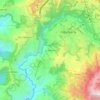 La Floresta topographic map, elevation, terrain
