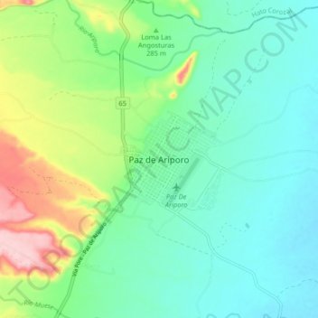 Paz de Ariporo topographic map, elevation, terrain