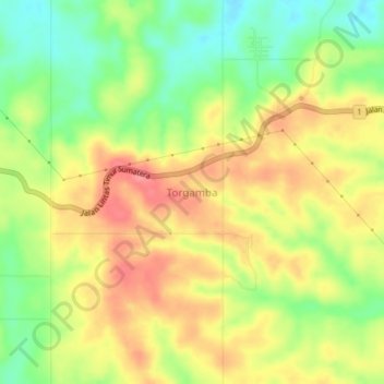 Torgamba topographic map, elevation, terrain