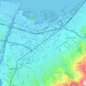Bauchrieh topographic map, elevation, terrain