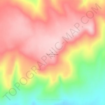 Bald Mountain topographic map, elevation, terrain