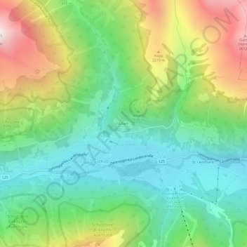 Erlach topographic map, elevation, terrain