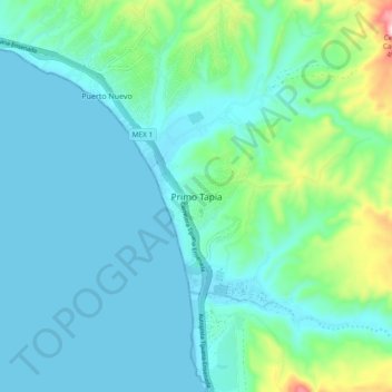 Primo Tapia topographic map, elevation, terrain
