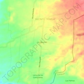 Las Iguanas topographic map, elevation, terrain