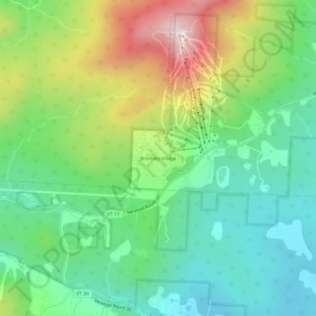 Bromley Village topographic map, elevation, terrain
