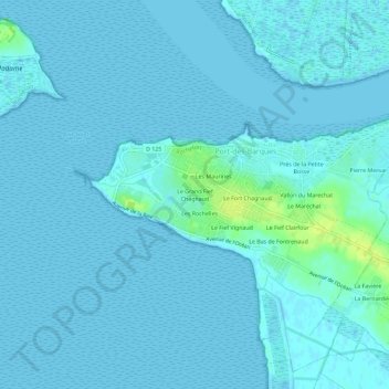 Le Grand Fief Chagnaud topographic map, elevation, terrain