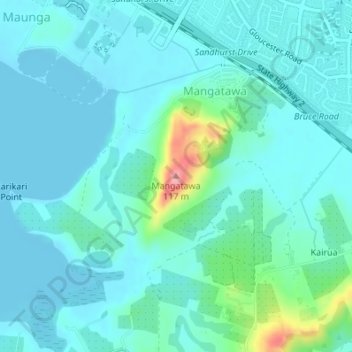 Mangatawa topographic map, elevation, terrain