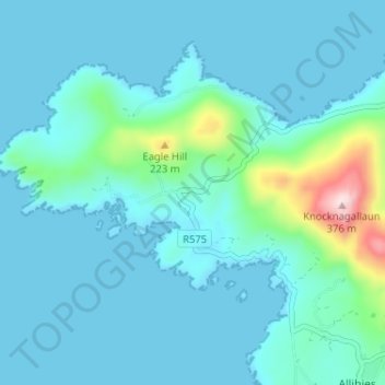 Ballaghacahereen topographic map, elevation, terrain