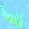 Coltano topographic map, elevation, terrain