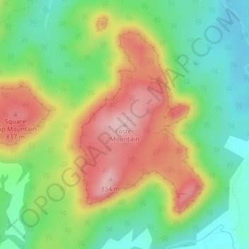 Foster Mountain topographic map, elevation, terrain