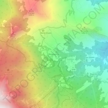 Roncopianigi topographic map, elevation, terrain