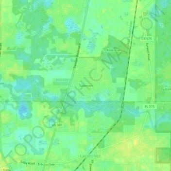 Talisman topographic map, elevation, terrain