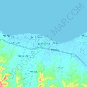 Buenavista topographic map, elevation, terrain