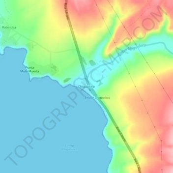 Chigualoco topographic map, elevation, terrain