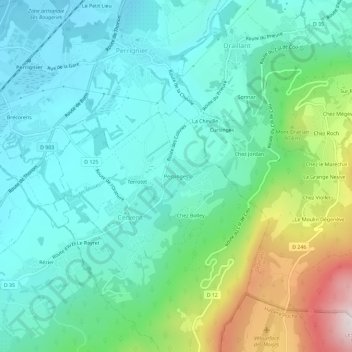 Pessinges topographic map, elevation, terrain