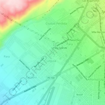Augusto B. Leguia topographic map, elevation, terrain
