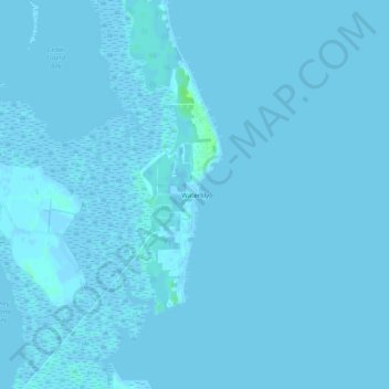 Waterlily topographic map, elevation, terrain