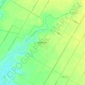 Bachoco topographic map, elevation, terrain