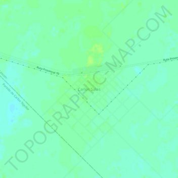 Carlos Salas topographic map, elevation, terrain