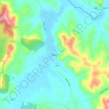 Pajonal topographic map, elevation, terrain
