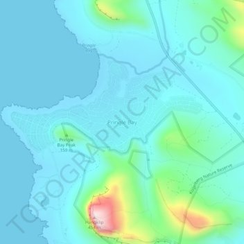 Pringle Bay topographic map, elevation, terrain