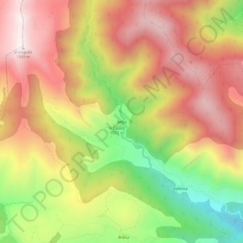 Sellui topographic map, elevation, terrain