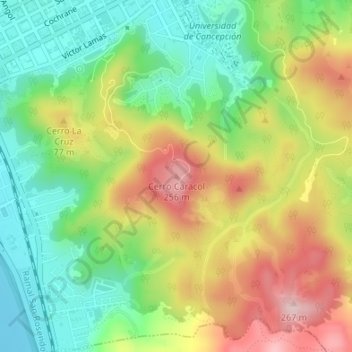 Cerro Caracol topographic map, elevation, terrain