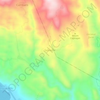 Salvador topographic map, elevation, terrain