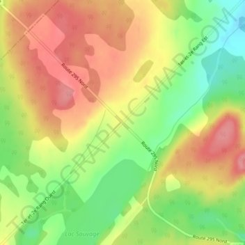 Transfiguration topographic map, elevation, terrain