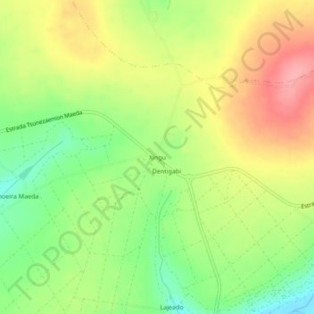 Xingu topographic map, elevation, terrain