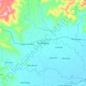 Dumingag topographic map, elevation, terrain