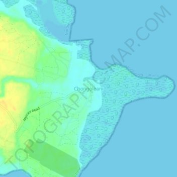 Chongoleani topographic map, elevation, terrain