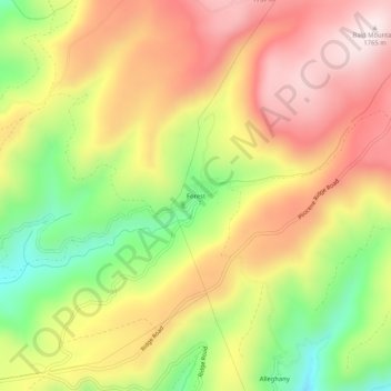 Forest topographic map, elevation, terrain