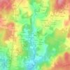Pereira topographic map, elevation, terrain