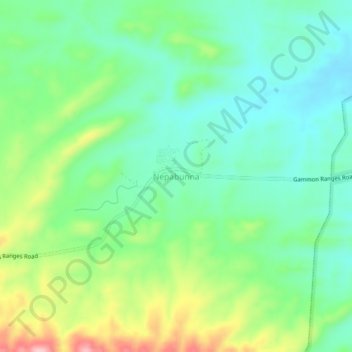 Nepabunna topographic map, elevation, terrain