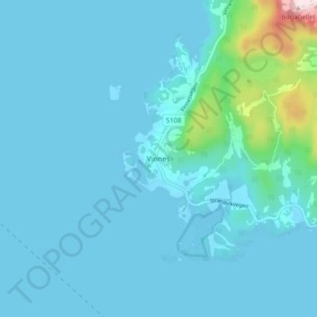 Vinnes topographic map, elevation, terrain