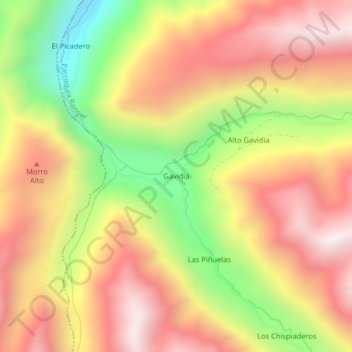 Gavidia topographic map, elevation, terrain