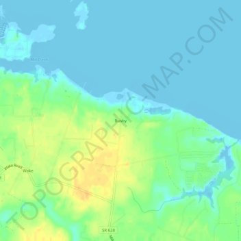 Bushy topographic map, elevation, terrain