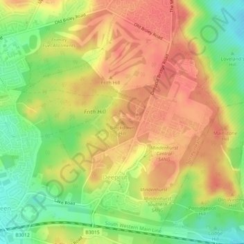 Blackdown Hill topographic map, elevation, terrain