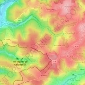 Backesberg topographic map, elevation, terrain