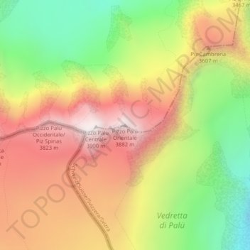 Pizzo Palù Orientale topographic map, elevation, terrain