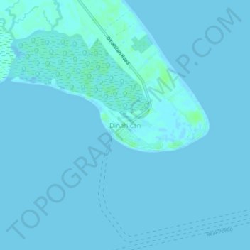 Dinahican topographic map, elevation, terrain