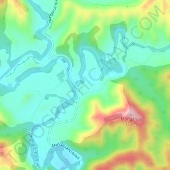 Mangamahu topographic map, elevation, terrain