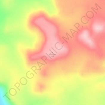 Bushfire Hill topographic map, elevation, terrain